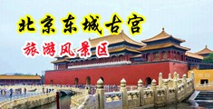 骚货小逼操中国北京-东城古宫旅游风景区